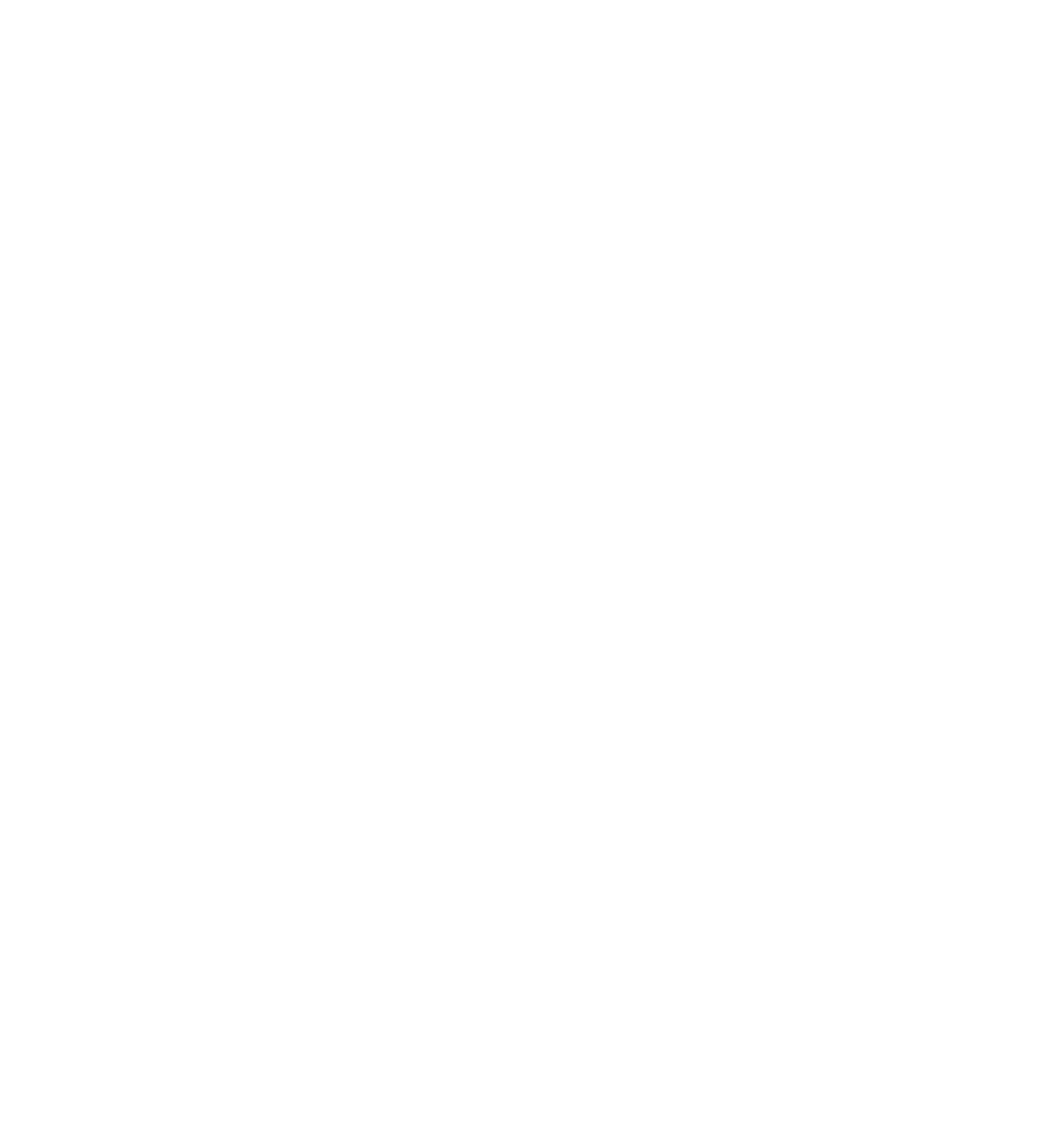 The Tefillin Project